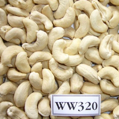 Food & beverage wholesale raw cashews Organic w320 snack bag cashew nuts w240 from Phalco Manufacturer