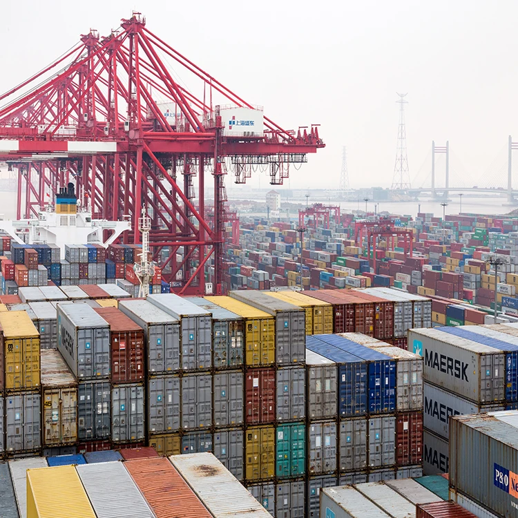 Sea shipping DDP service is really convenient and cheap from Shenzhen China to Samoa Western/San Marino