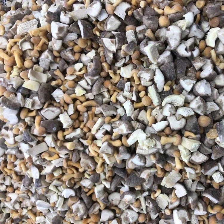 IQF frozen suillus granulatus mushroom Boletus Luteus  frozen Annulated boletus, mixed mushroom frozen nameko oyster  boletus