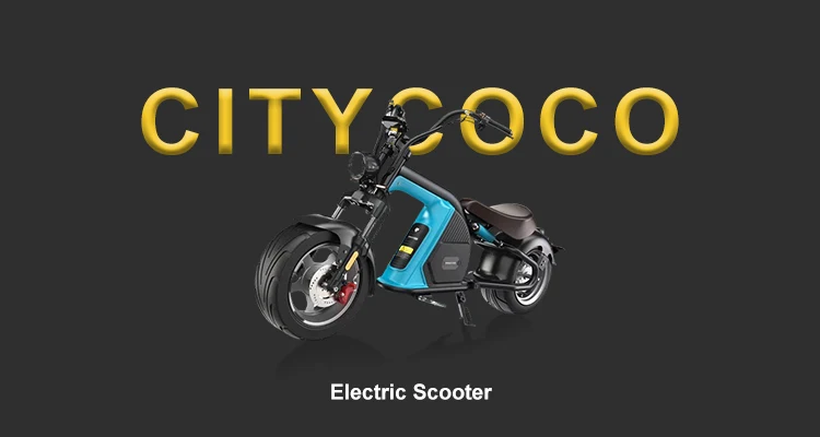 Electric Scooter Big Tyres Fastest Electric Motorcycle Mini Citycoco Scooter