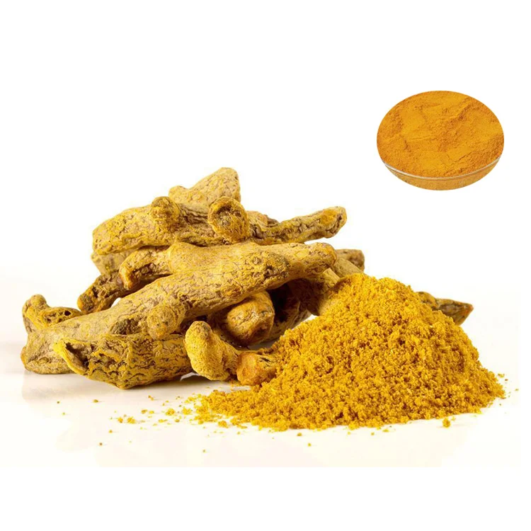 High Quality Organic Curcuma Extract Pure Natural Turmeric Powder