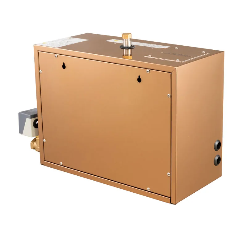 3KW 6KW 7KW 8KW 9KW 12KW 15KW 18KW Hammam Steam Generator For Turkish Bath