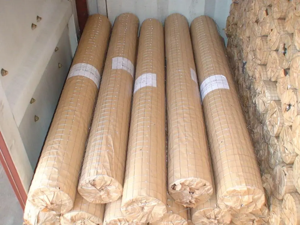 Hot Dip Galvanized GAW Wire Mesh  Welded Wire Mesh For Bird Cage and Construction