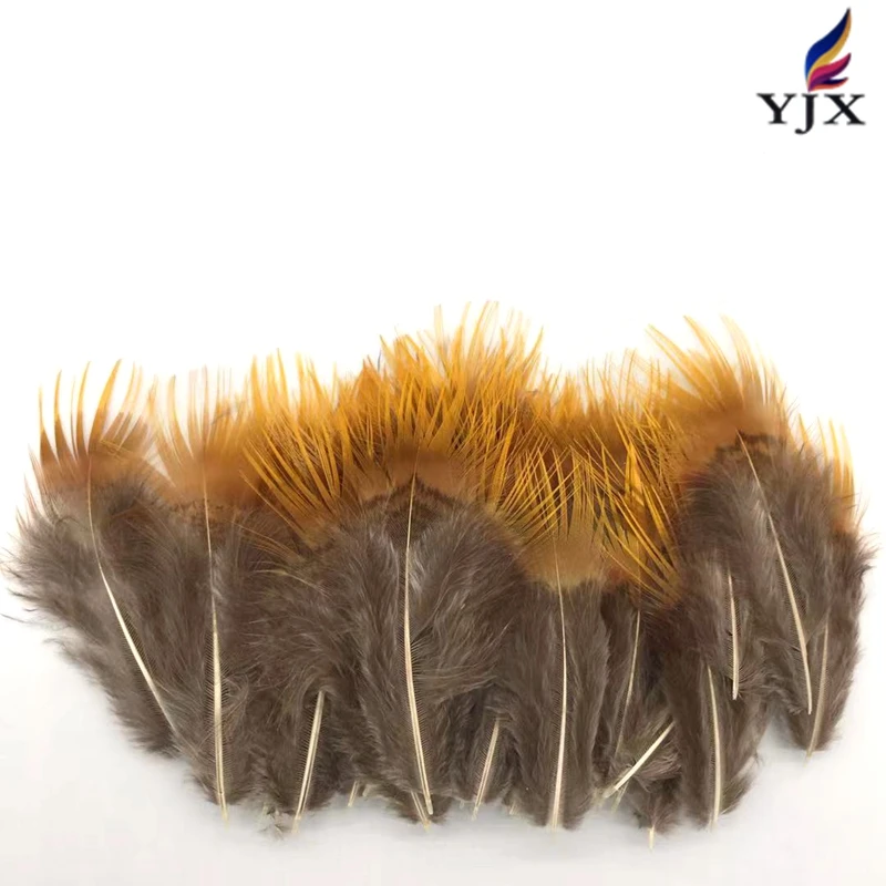 Wholesale  Natural  Color  Golden Pheasant Feathers    Pheasant Plumage  Feathers