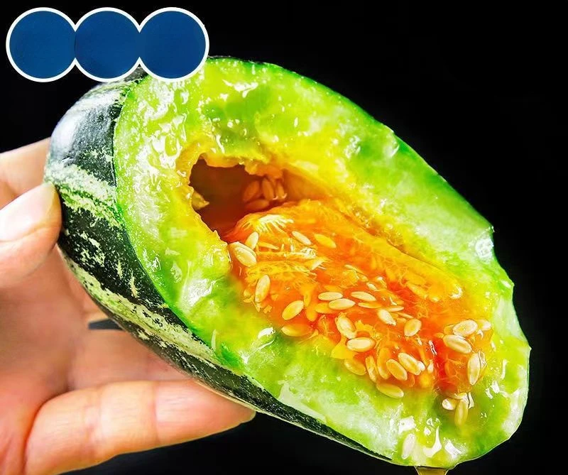 Melon fruit now picked melon fresh season croissant crispy melon