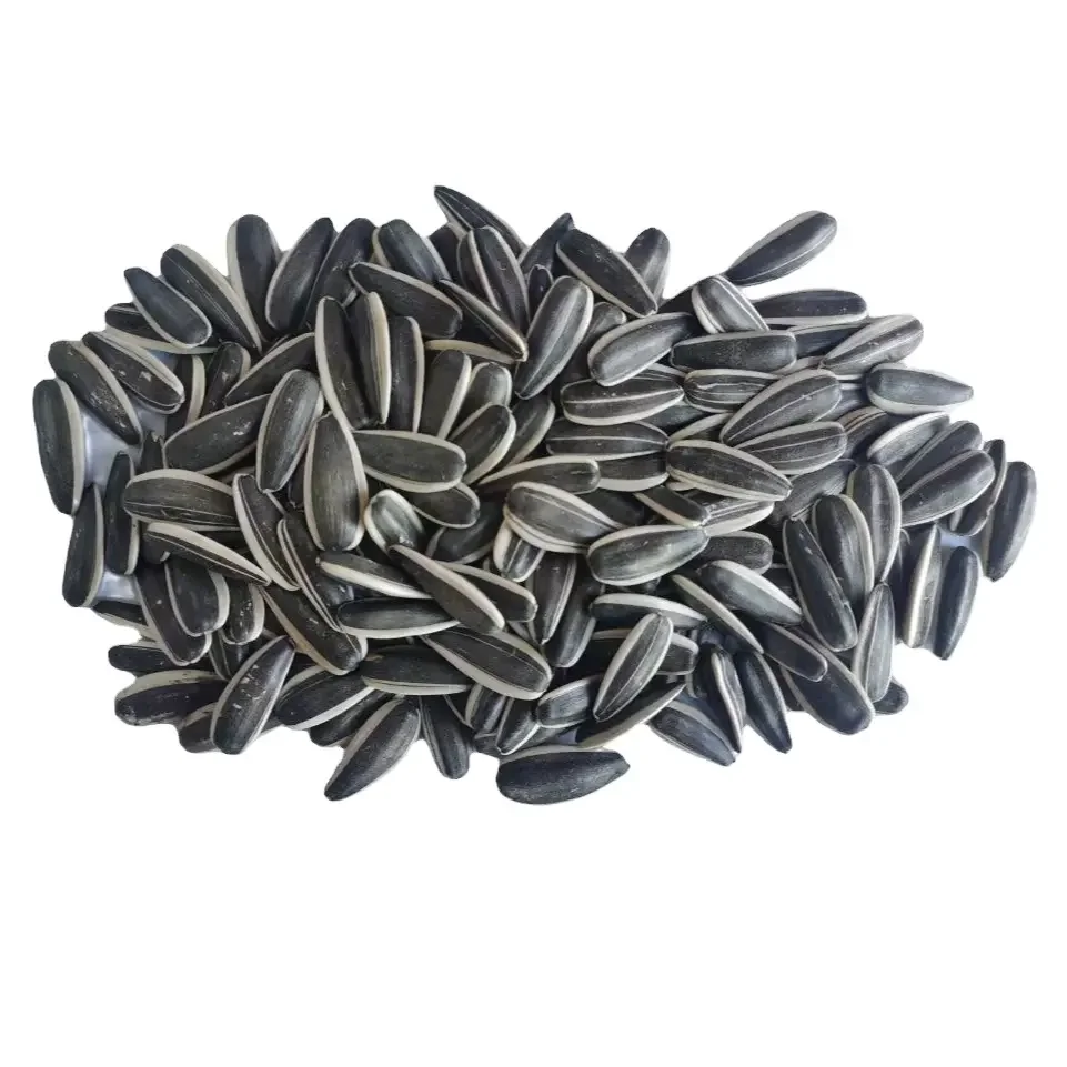 Bulk Inner Mongolia Raw Material Large Type 363/361 Organic Sunflower  Seeds Cheap Price