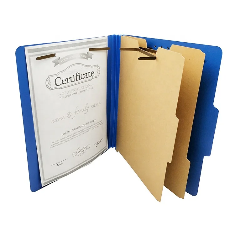 Basics Classification Folder with Fasteners Letter Size Cardboard File Folders