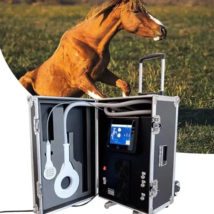 magneto therapy veterinary physio machine physiotherapy pemf  Portable use Massage Machine For Muscle Relaxation Massage fo