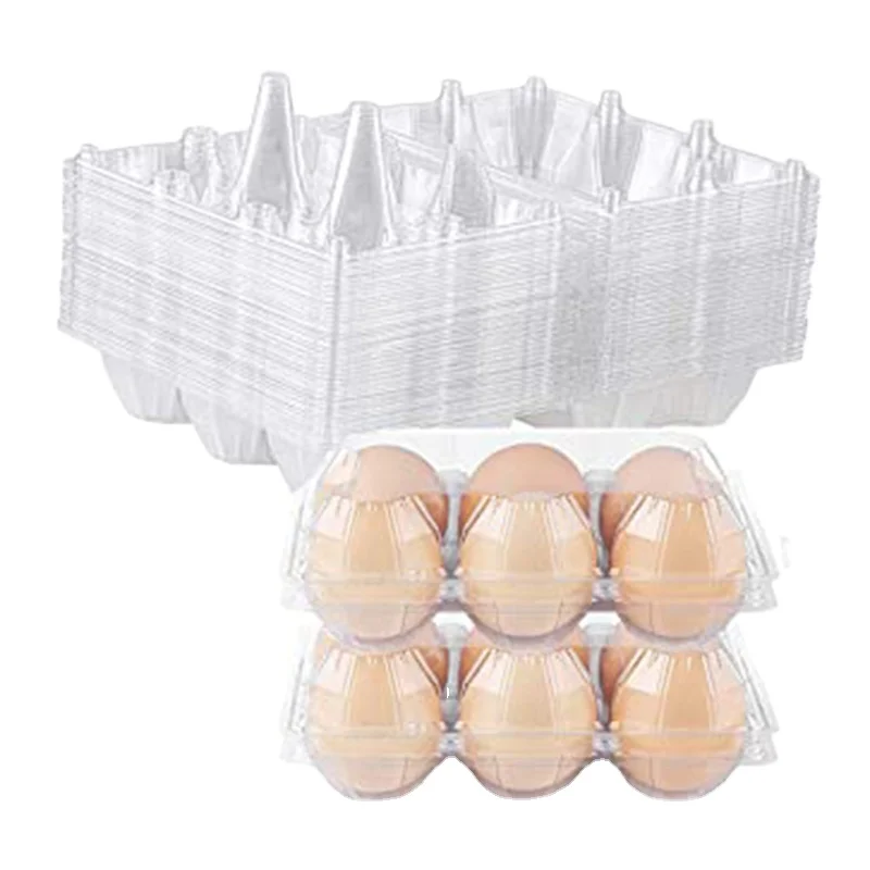 Cheap price clear plastic quail egg tray from 6 to 30 holes for choose  Material Plastic Recyclable Plastic material