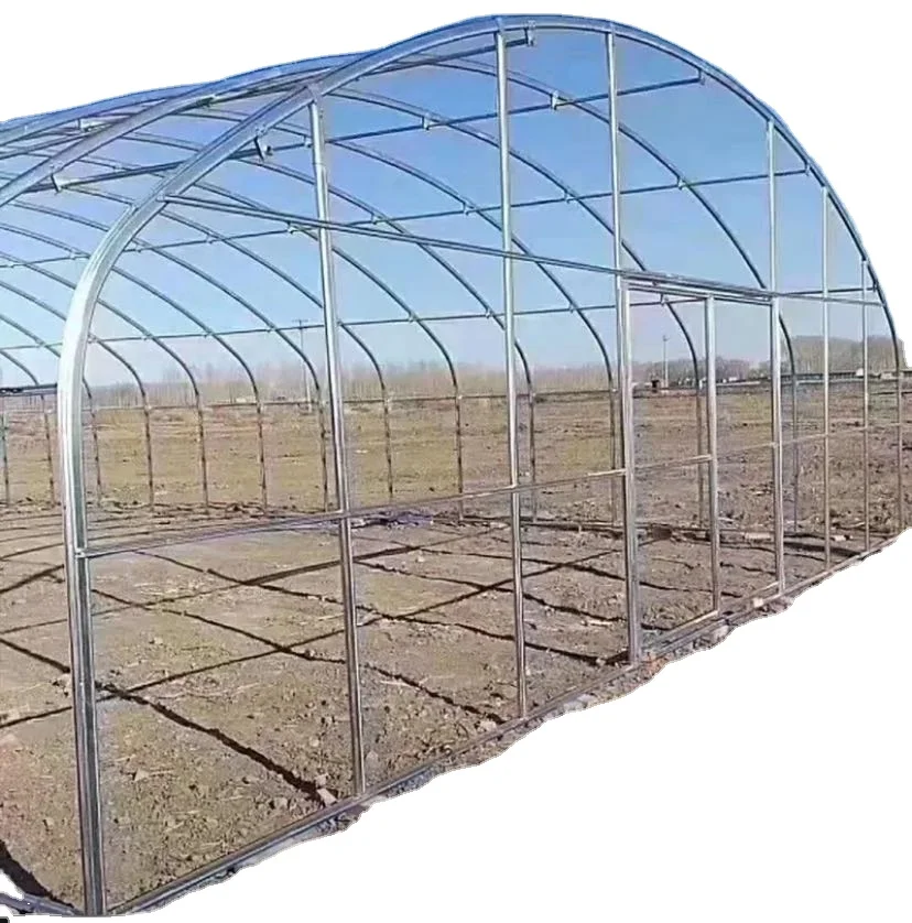High quality agriculture Plastic film greenhouse metal frame greenhouse