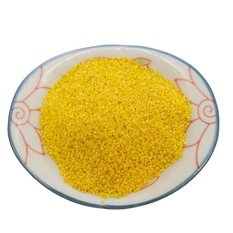 China origin Low Price bulk hulled yellow pearl millet Organic Yellow Millet for porridge