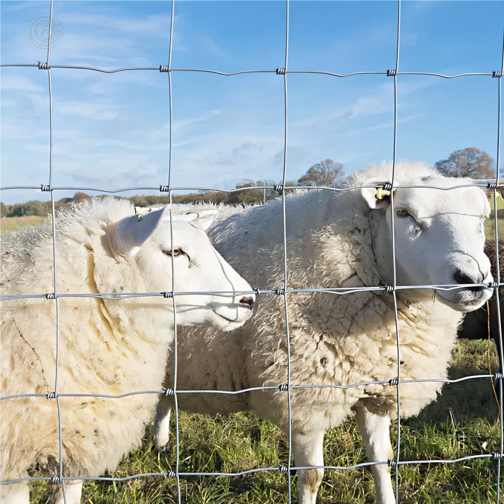 High Quality Farm Fence Livestock Sheep Goat Fence Wire Mesh Fence