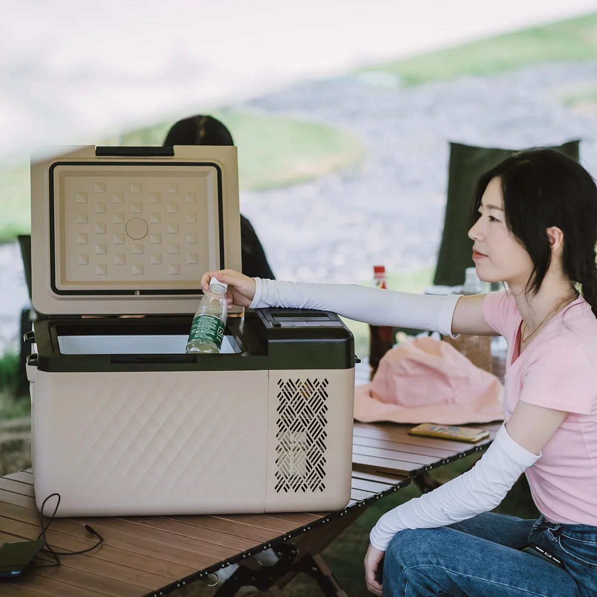 RT20 Hot sales 20l mini size car fridge 110v 12v 24v refrigerator and freezer with free customized packing