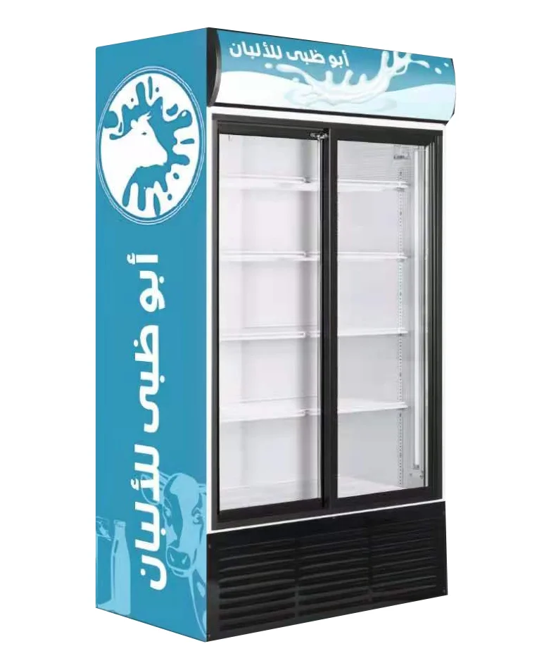 Low Temperature Glass Door Display Equipment Chicken Meat Cold Storage Freezer Milk Bar Ice Cream Display Refrigerators