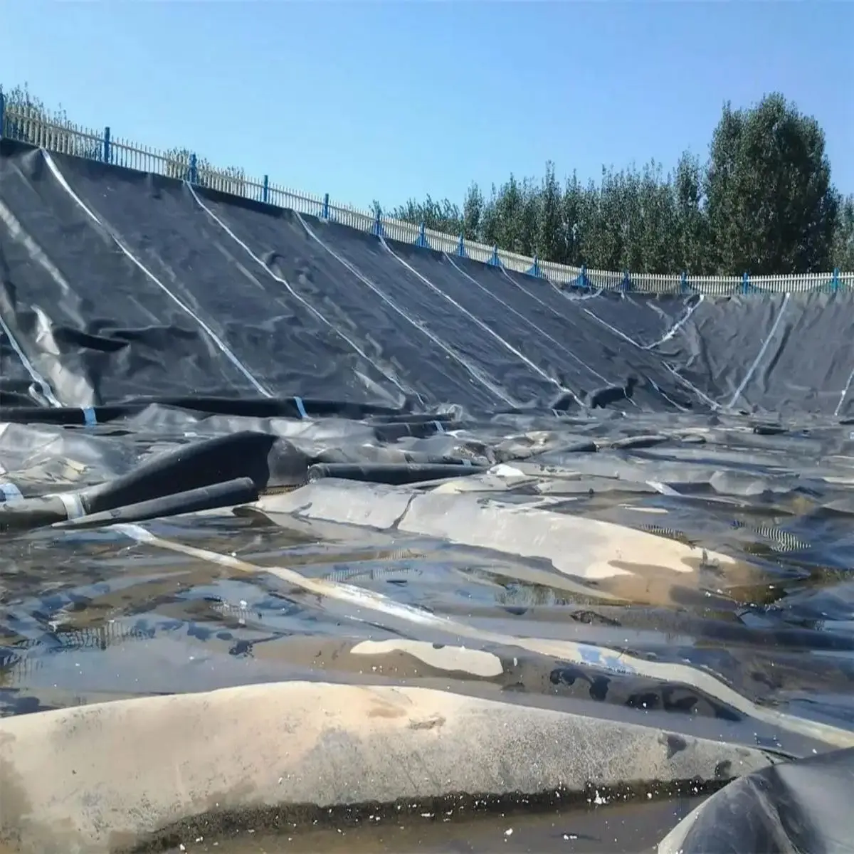 0.5mm HDPE Fish Pond Geomembrane Liner for Fresh Water Shrimp in Tanzania Outdoor project