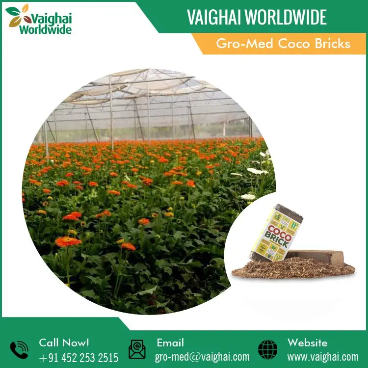 High Quality Best Selling Garden Supplies Coco Bricks Coir Peat for Growing Plants