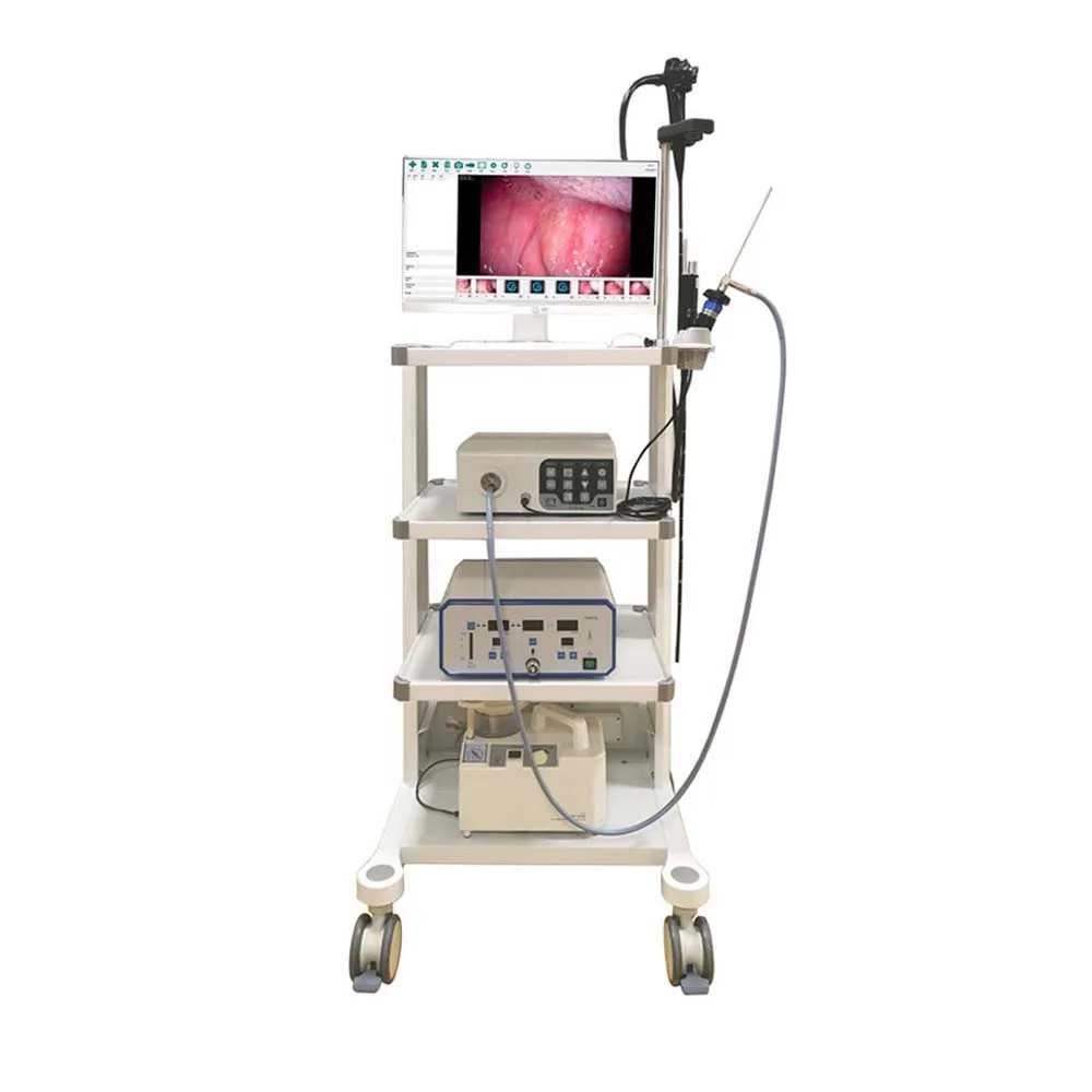 Low Price Hospital Medical Video Gastroscope Endoscope Camera Veterinary Endoscope System Gastrointestinal Endoscopy