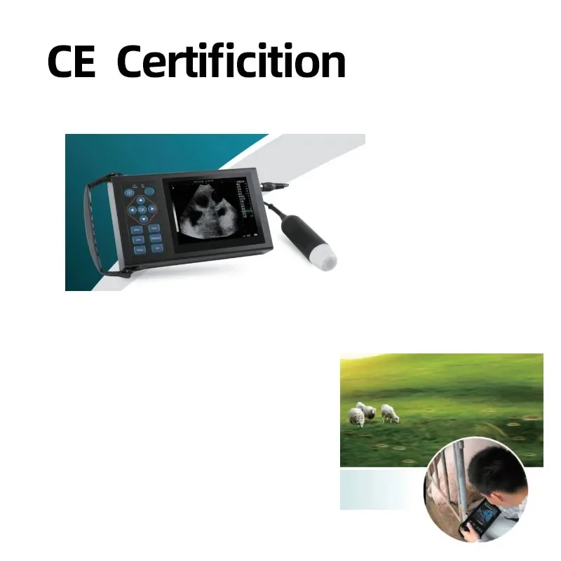 Hand-carried Veterinary Diagnostic Ultrasound Diagnostic System Equipments Full Digital Veterinary Ultrasound Scanner A10