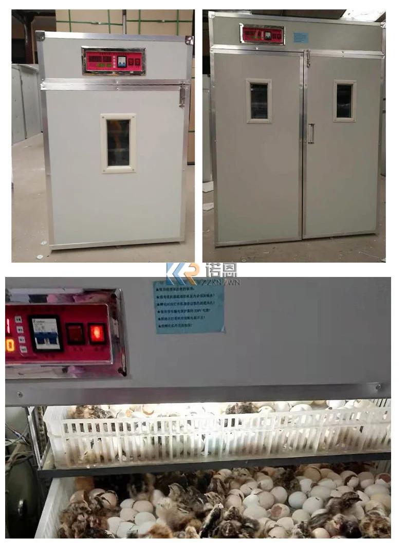 New 240 Pcs Incubator 10000 Eggs Egg Cabinet Incubators Hatching Large