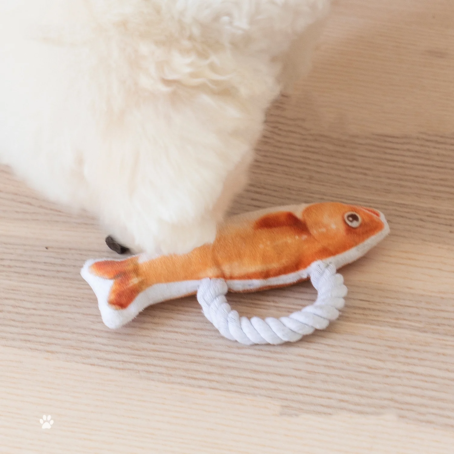 Custom Squeaky Dog Stuffed Animal Plush Toys Interactive Soft Cat Fish Toy Durable Pet Chew Toys with Cotton Rope