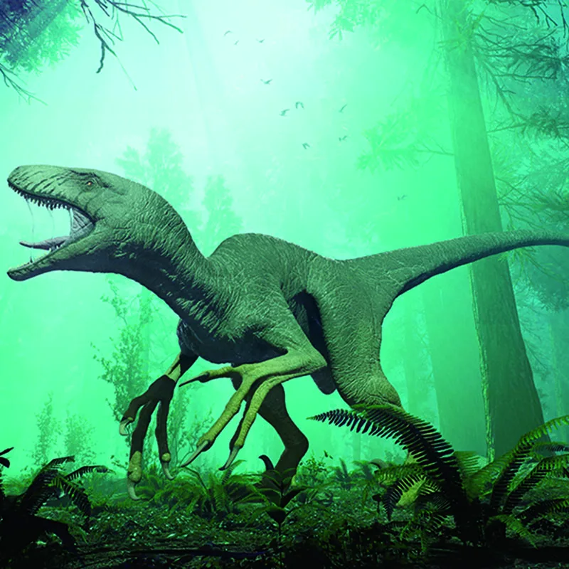 Custom Adhesive Large Removable Vinyl Living Bedroom Kids Rooms Decal Animals Wall Sticker