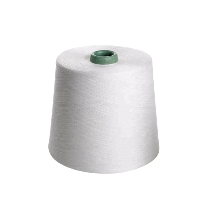 Factory Price PVA Water Soluble Yarn for Multi-Purpose Use 20C/40C/60C/80C Embroidery Thread