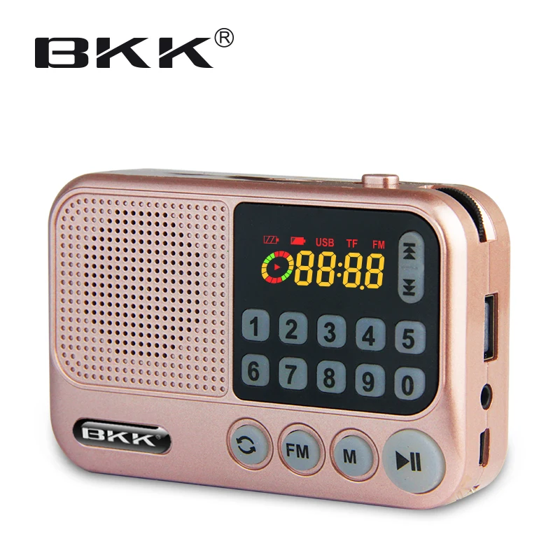 Bluetooth FM Radio Speaker with  TF card Music box (S99)