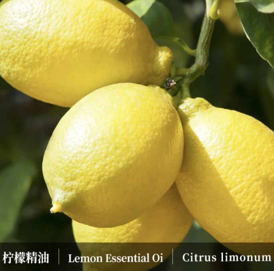 Wholesale Pure Lemon Essential Oil Bulk 200L Drum Natural Italy Origin Peel Cold Pressed Aroma Lemon Oil 25KG Lemon Bath Soap
