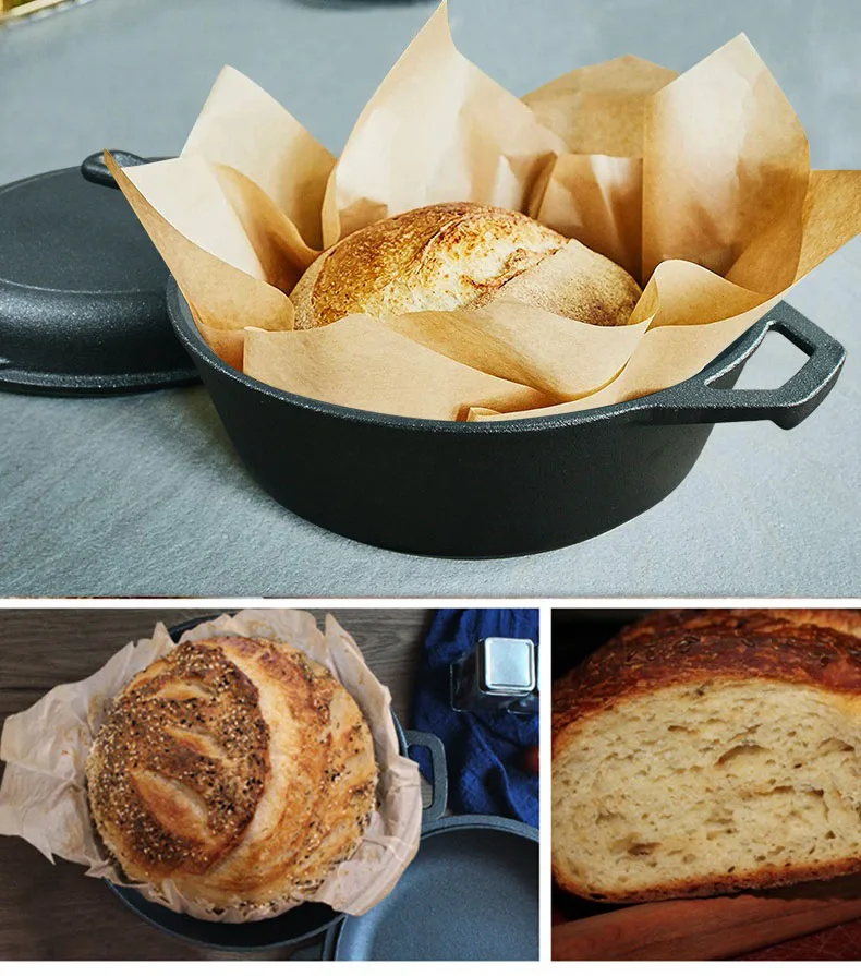 26cm Pre-seasoned Cast Iron Pot with Handle 2 in 1 Stew Pot with Fry Pan Cast Iron Dutch Oven