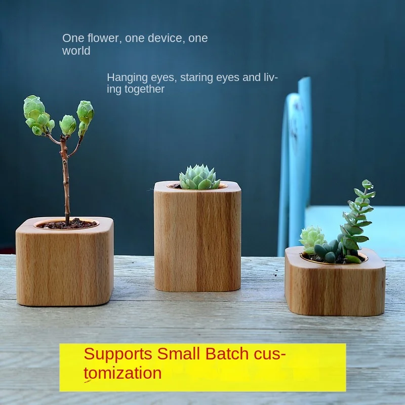 Base Potted Cactus Plant Flower Pot Aluminium Pen Container Beech Walnut Wooden Succulent Planter Decoration Garden Flower pots