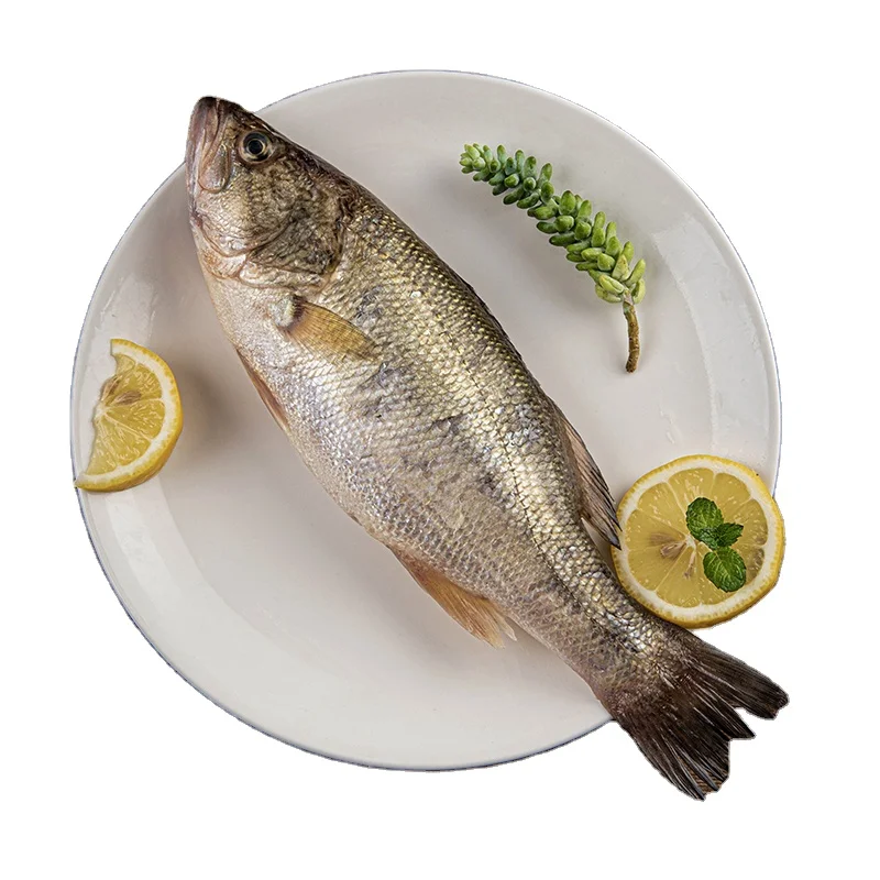 Japanese Seaperch IQF  bass fish Japanese Sea Bass