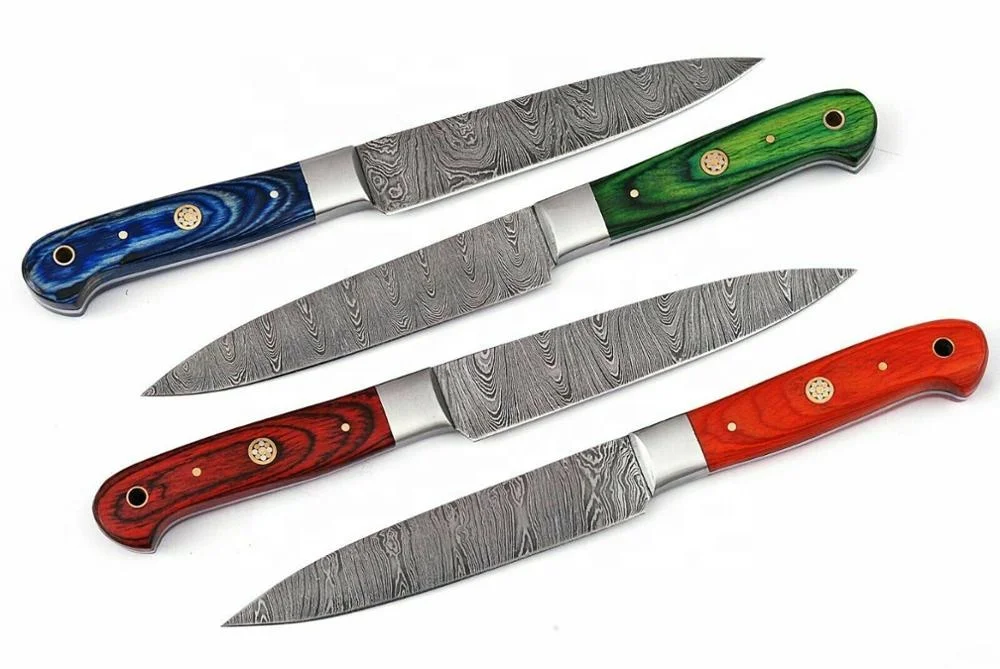 4 Pcs Matching 1081 Damascus steel Steak knife Set