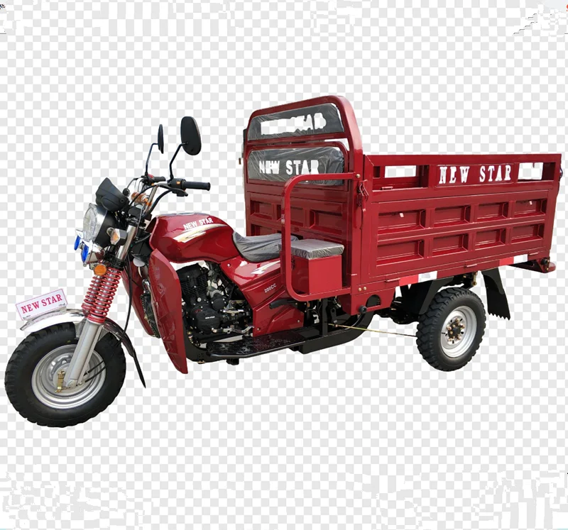 3 Wheel Gas Powered Motorcycles  Cargo Motor  Tricycle Motorcycle350