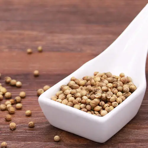 high quality pure coriander seeds