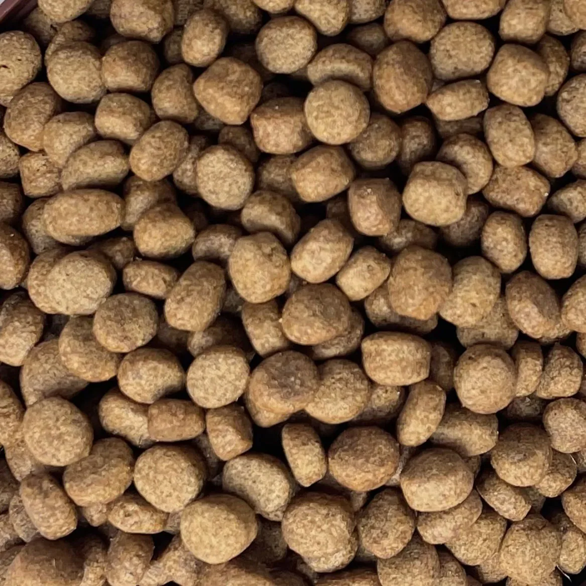 
shandong factory pet supplies food storage dry dog food for Turtled 