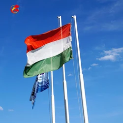 High quality cheap 3x5ft customizable size  Hungary National national flags red white green flag