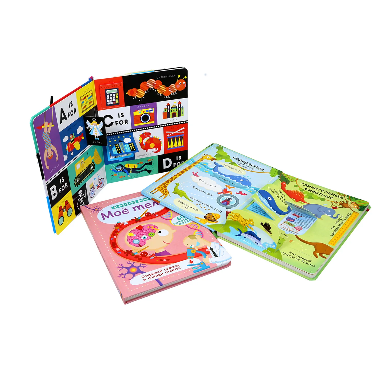 Custom  Lift Flap Pop up Board Books for Kids