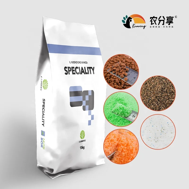 High Quality NPK 20 20 20 Organic Fertilizer Quick Release Water Soluble Compound for Crop Nutrient Directly Exported from China