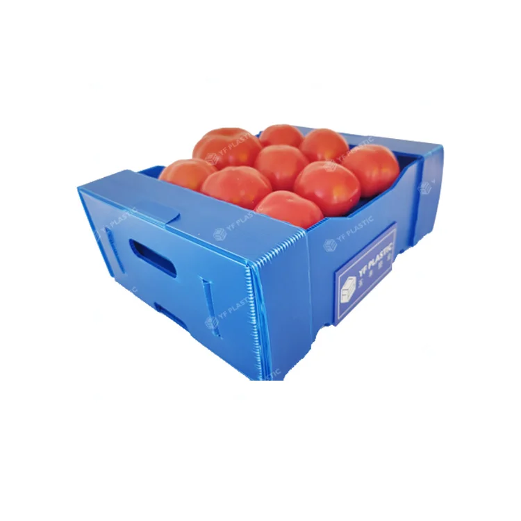 Manufacturer Vegetable&Fruit Packing Box Turnover Box