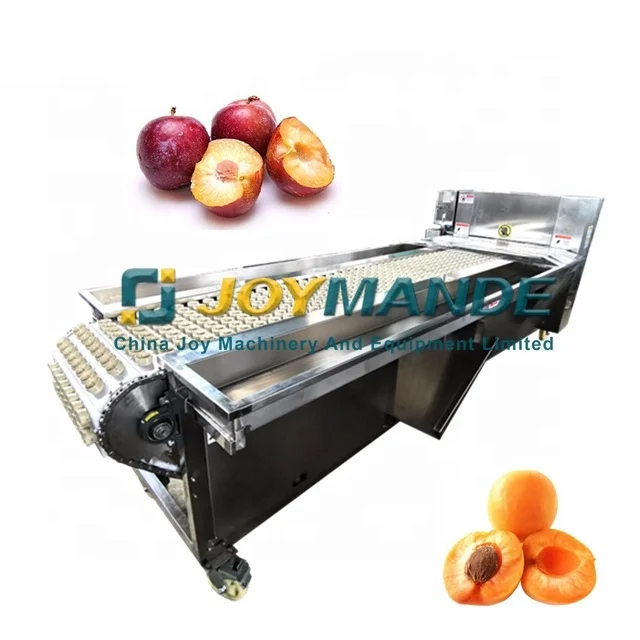Speed Adjustable Apricot Destoner Machine Destonning Fruits Equipment