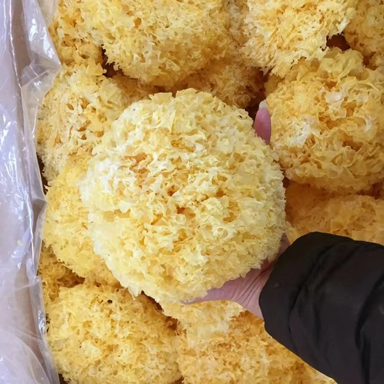 Chinese silver ear fungus mushroom yin er Tremella fuciformis healthy food dried white fungus