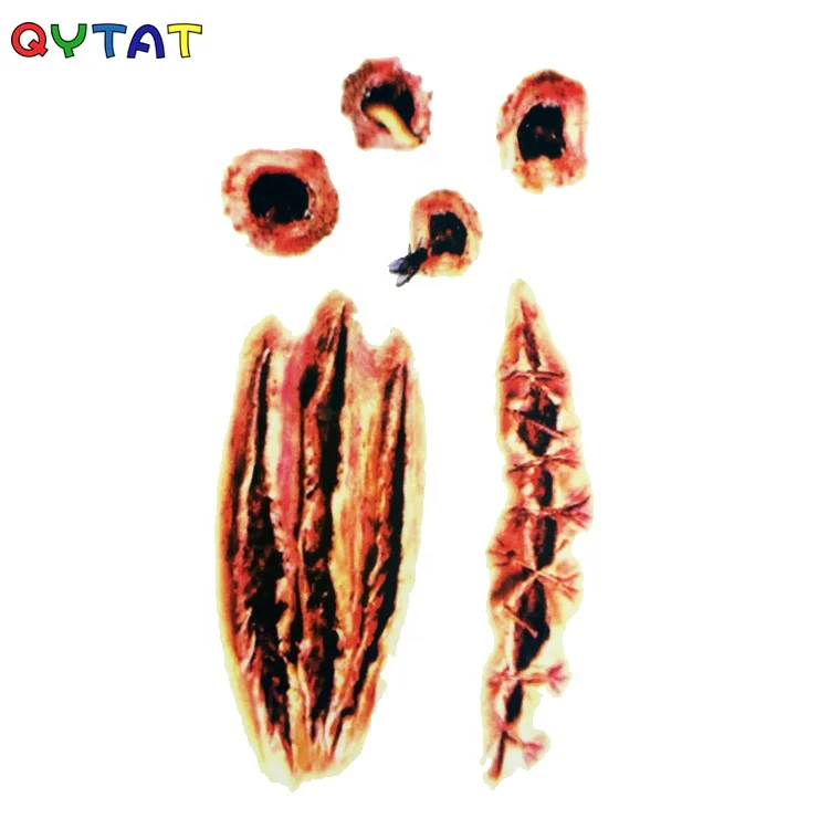 China Wholesale High Quality Water Transfer Costumes Party Fake Blood Scar Wound Temporary Tatoo Halloween