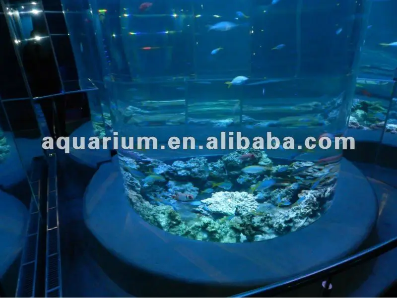 Fancy Clear Large Round Acrylic Fish Tank Aquarium