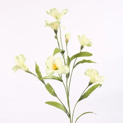 Simulated morning glory tung oil tree decorated with flower photography props dried flower Pampas