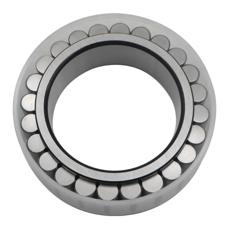 CPM2834 Cylindrical roller bearing without outer ring CPM 2834 full complement cylindrical roller bearing
