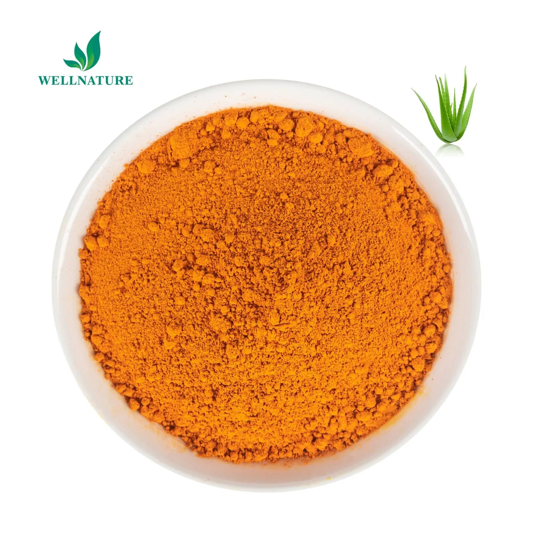 Manufacturer Supply Aloe Vera Extract 50% 90% 95% 98% Aloe Emodin Powder