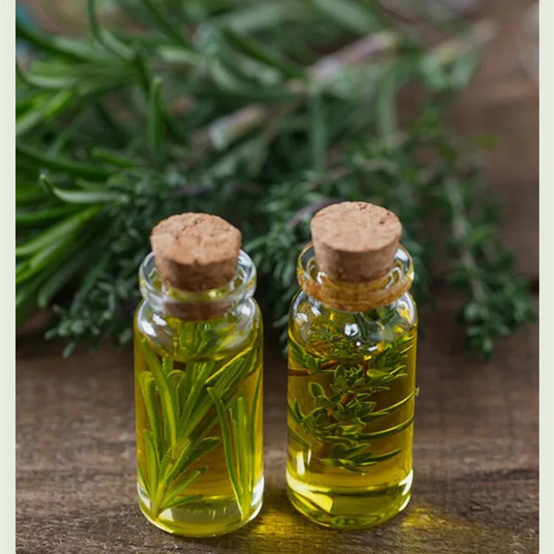 Rosemary Scalp Hair Strengthening Oil 15ml Organic Natural Rosemary Essential Oil Rosemary Oil Hair Growth