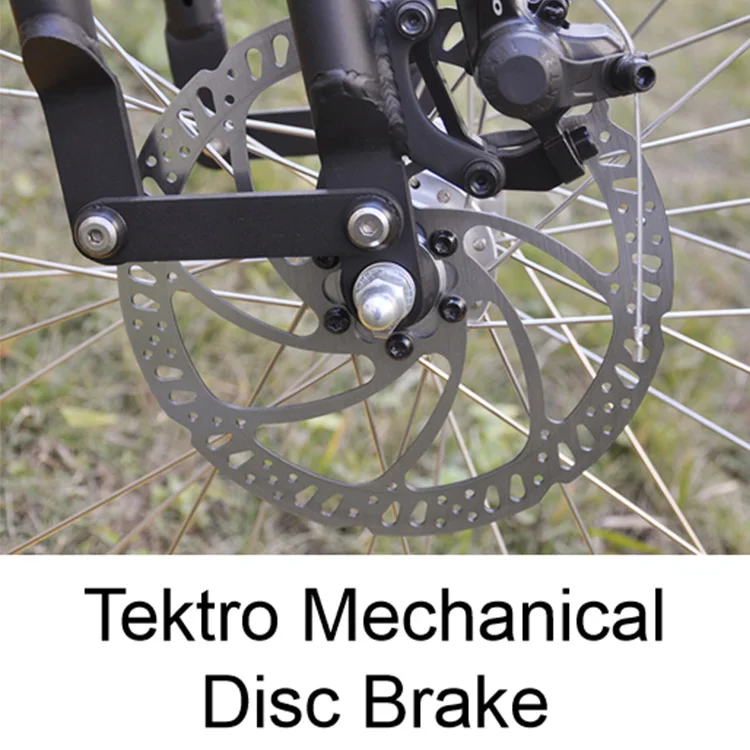 China Wholesale Fat Tire 1000w Electric Bike  Electric Mountain Bike Retro Panther Electric Bicycle Prestige Leopard E Bike manufacturer ship directly