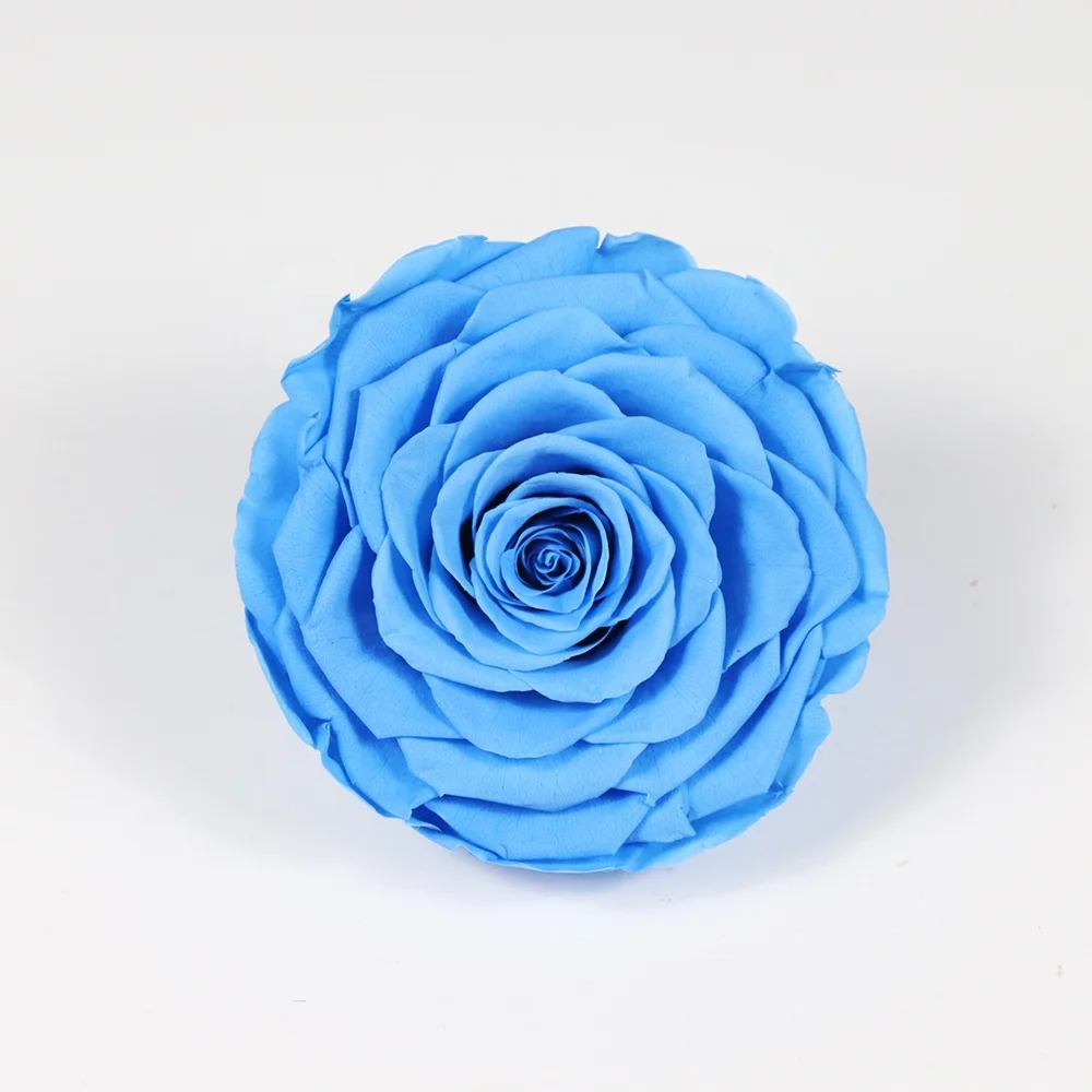 2021 New Style Big  9-10 cm Rose Real Fresh Romantic Beautiful  Preserved Rose Wholesale dried roses flowers