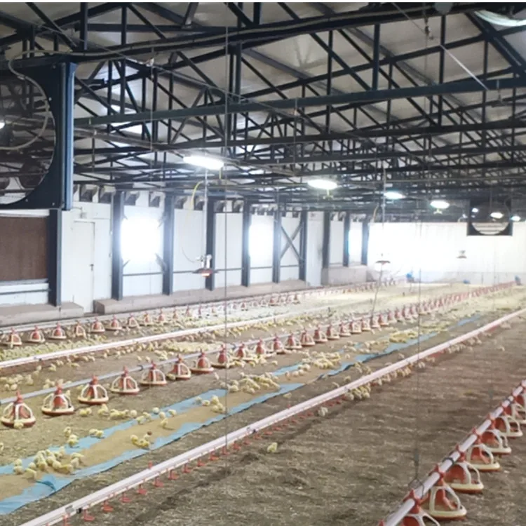  Портативное другое оборудование для разведения животных инфракрасный газовый обогреватель Брудер птицеводства